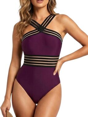 Strappy Plum One-Piece Swimsuit with Sheer Banding